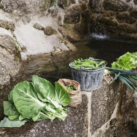 Quinta Cerca Da Milhera Ponte da Barca